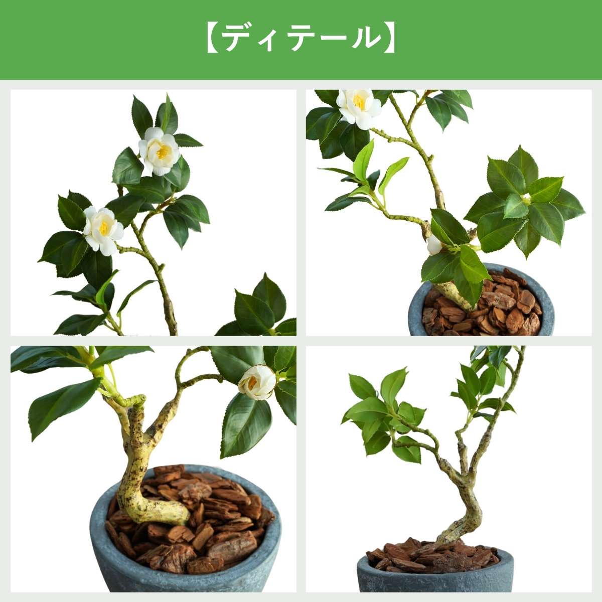 椿 鉢 椿 苗木 椿 盆栽 椿 鉢植え フェイクグリーン 60cm 光触媒 鉢付き おしゃれ 造花 インテリア リアル フェイクグリーン ミニ 消臭 抗菌 手入れ不要 卓上 |  | 08