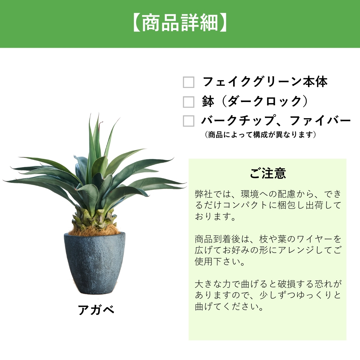 アガベ オバティフォリアのおすすめ人気商品一覧 通販 - Yahoo