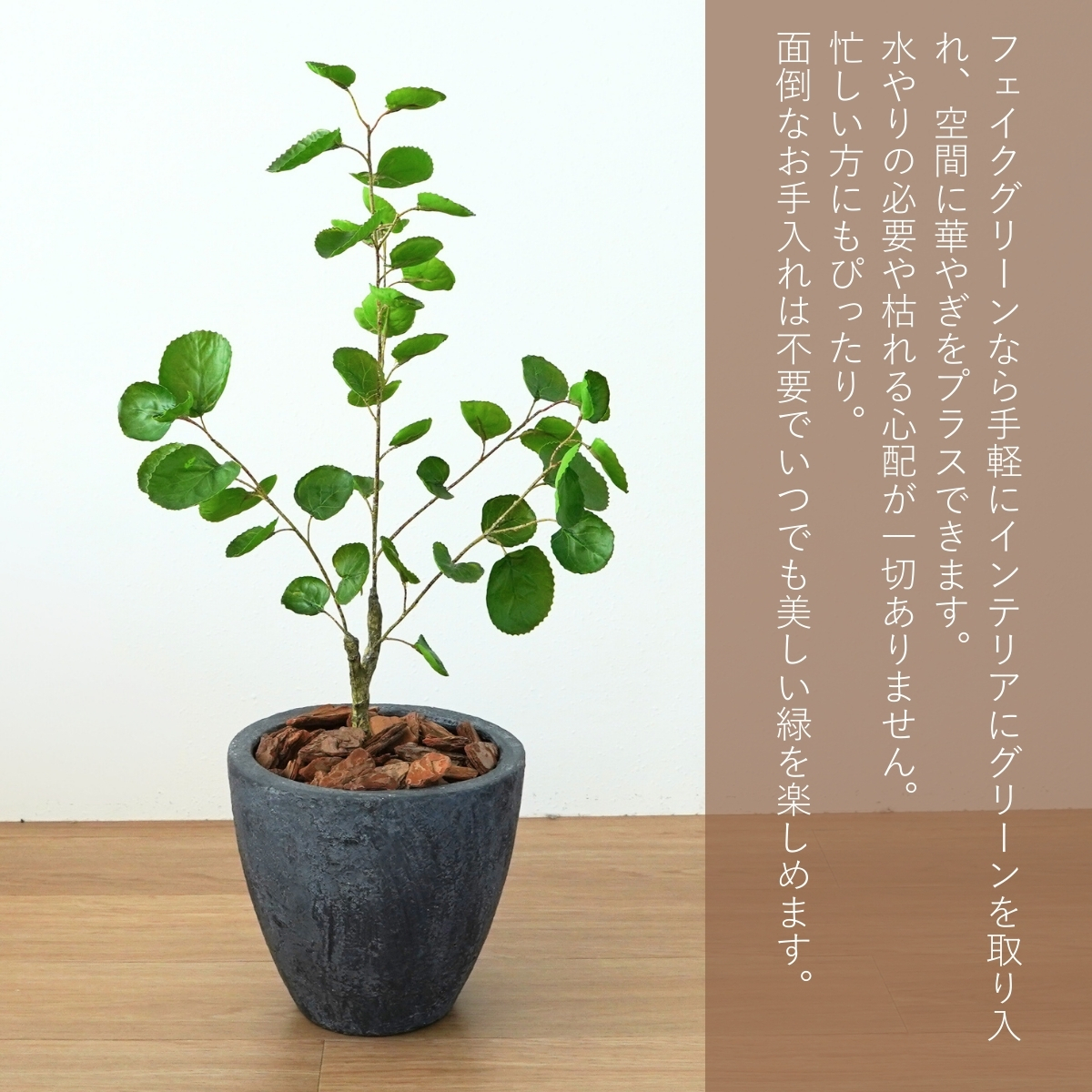 ポリシャスのおすすめ人気商品一覧 通販 - Yahoo!ショッピング