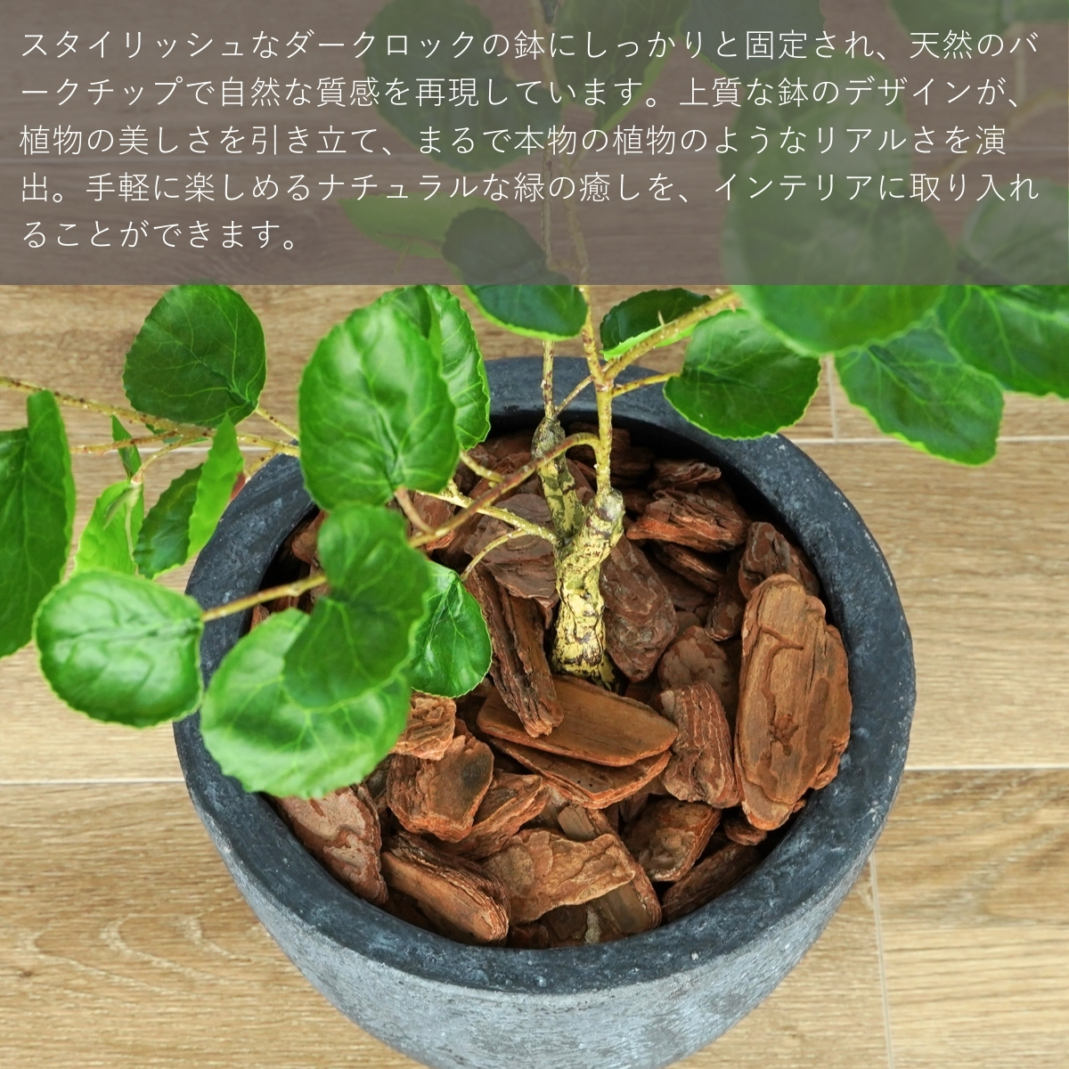 日本製　フェイクグリーン　ポリシャス　ポリスキアス　鉢カバー付 ポリシャス フェイクグリーン 70cm 小さい 小さめ 卓上 光触媒 鉢付き