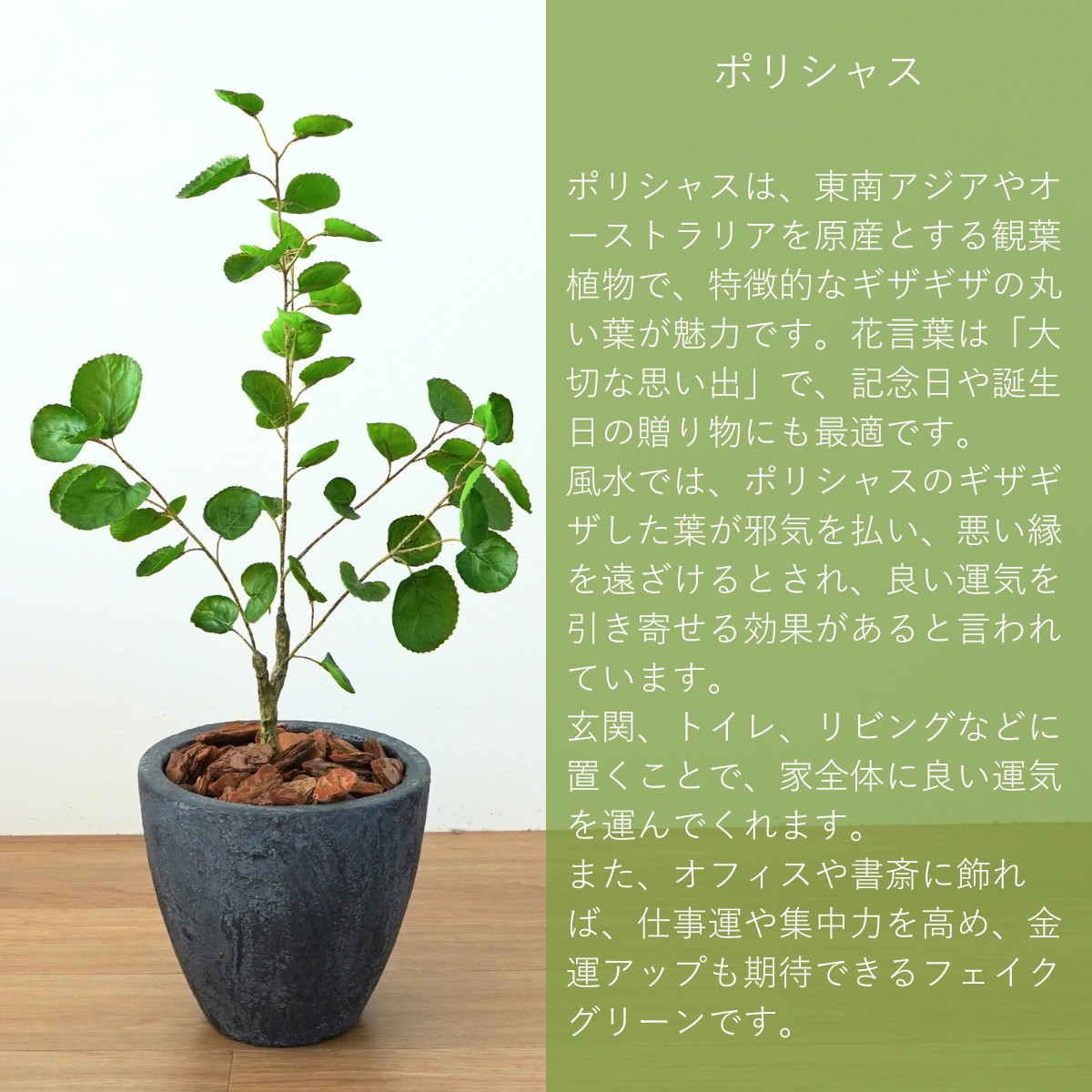 ポリシャス フェイクグリーン 70cm 小さい 小さめ 卓上 光触媒
