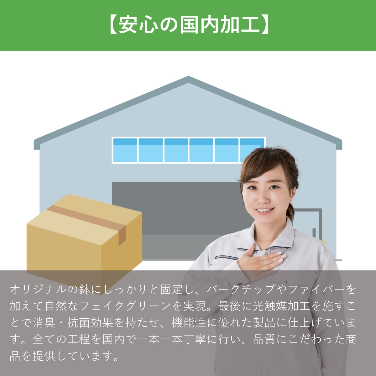 オーガスタ フェイクグリーン オーガスター 観葉植物 ストレリチア・オーガスタ 80cm 光触媒 鉢付き 造花 おしゃれ インテリア リアル 消臭 空気清浄 触媒 抗菌 |  | 12