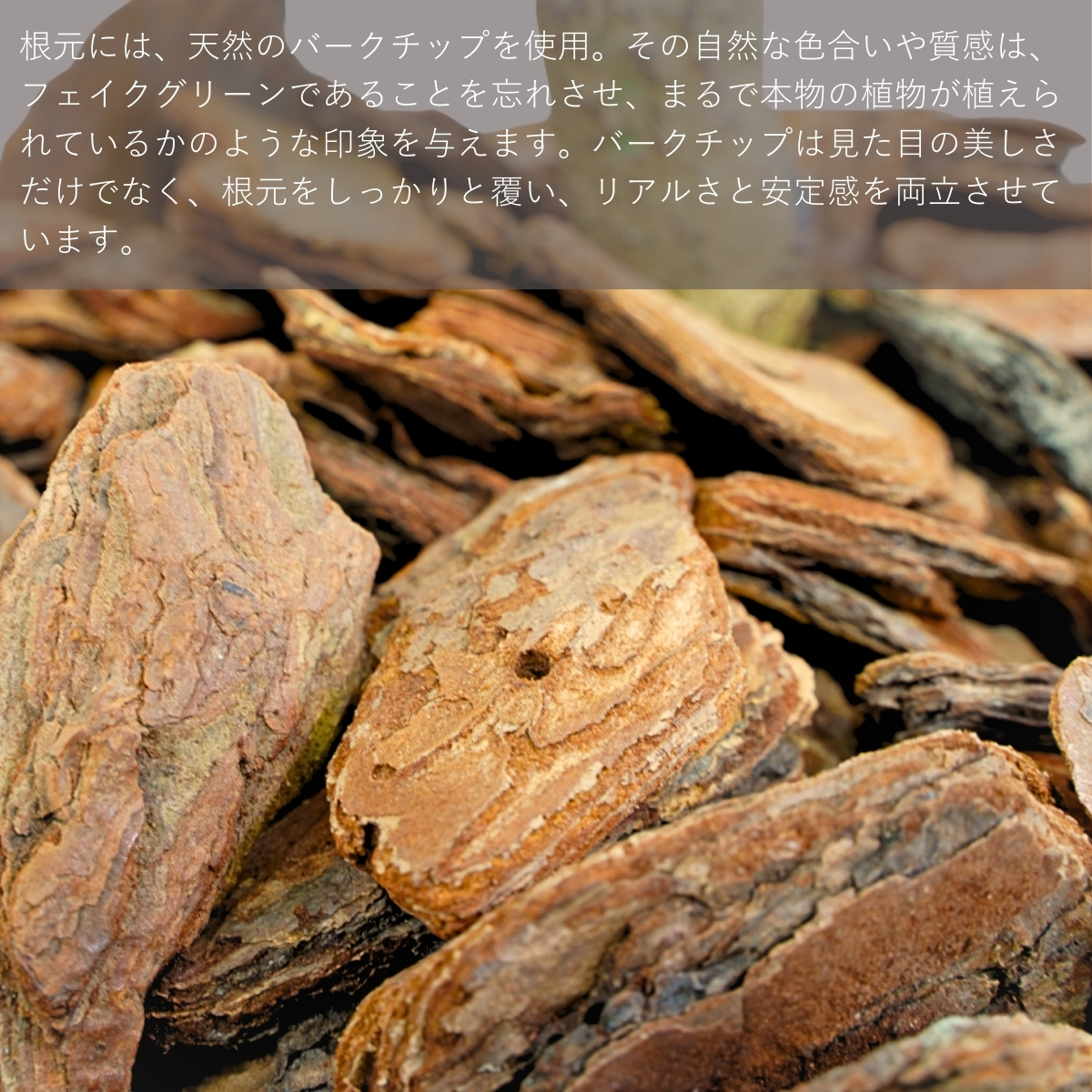 オーガスタ フェイクグリーン オーガスター 観葉植物 ストレリチア・オーガスタ 80cm 光触媒 鉢付き 造花 おしゃれ インテリア リアル 消臭 空気清浄 触媒 抗菌 |  | 06