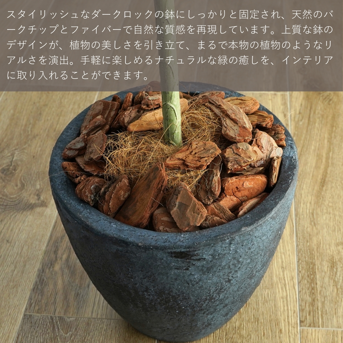 【安心の生産者仕入れ】アガベ　アテナータ　幹高根上がり美太曲がり14Ａ AU14XR 高性能型アンテナ 日本アンテナ 受信チャンネルUHF/13