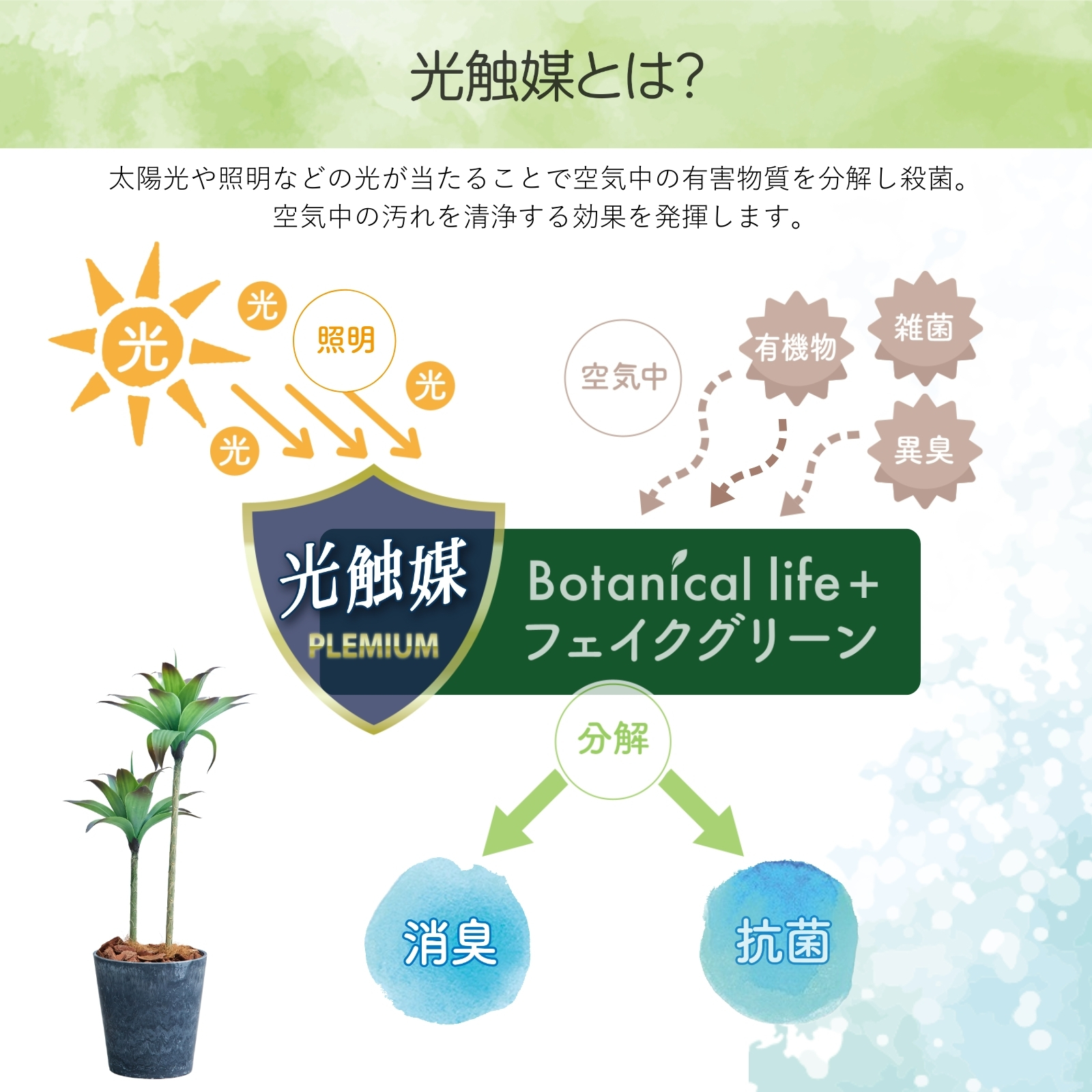 アガベ アテナータ 2本 多肉植物 鉢 フェイクグリーン 75cm 光触媒 鉢