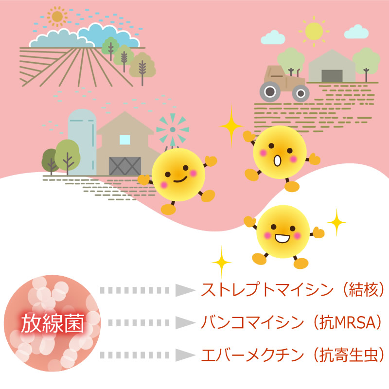 善玉菌による発酵