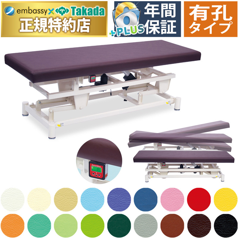 高田ベッド製作所 高田ベッド 無孔電動縦転ハイロー TB-1596