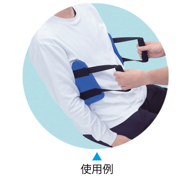 ご使用例