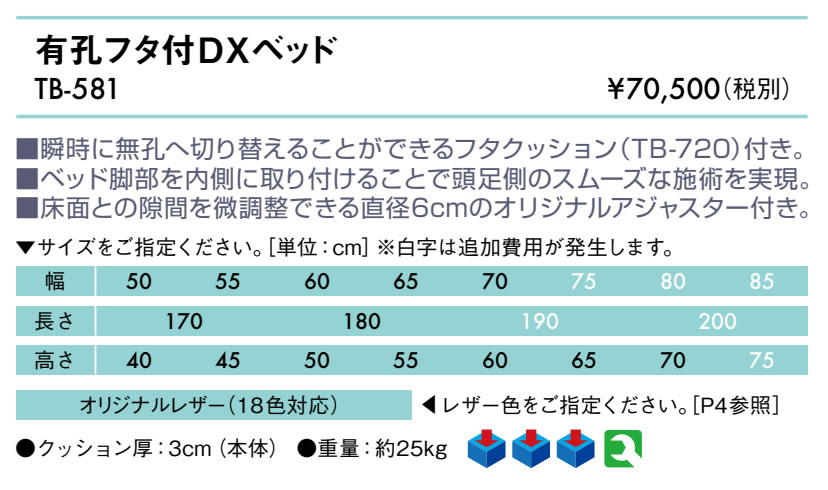 高田ベッド 有孔フタ付ＤＸベッド TB-581 有孔と無孔を切り替え