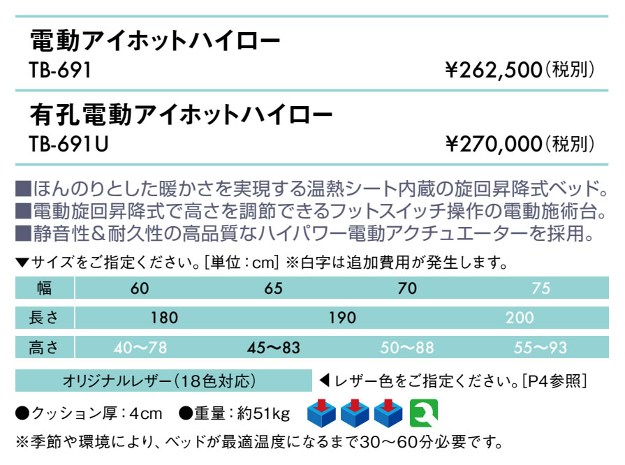 高田ベッド製作所 高田ベッド 有孔電動アイホットハイロー TB-691U