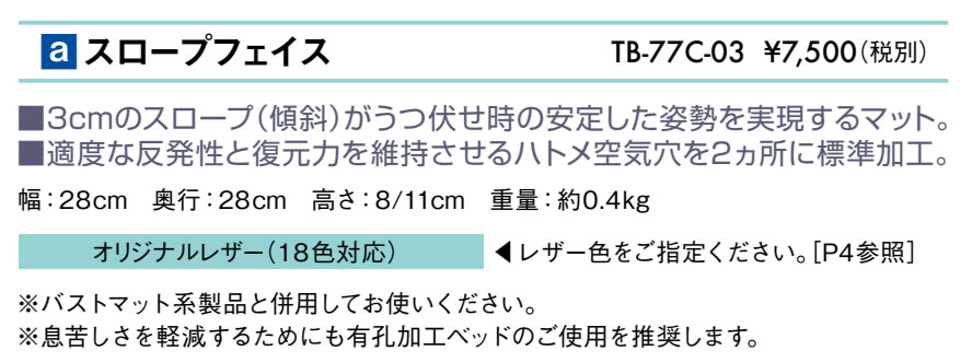 スロープフェイス仕様