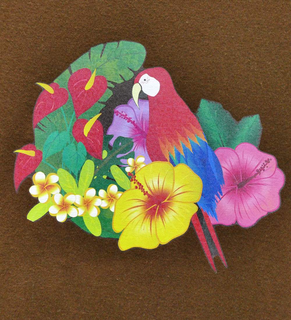 フラダンス衣装