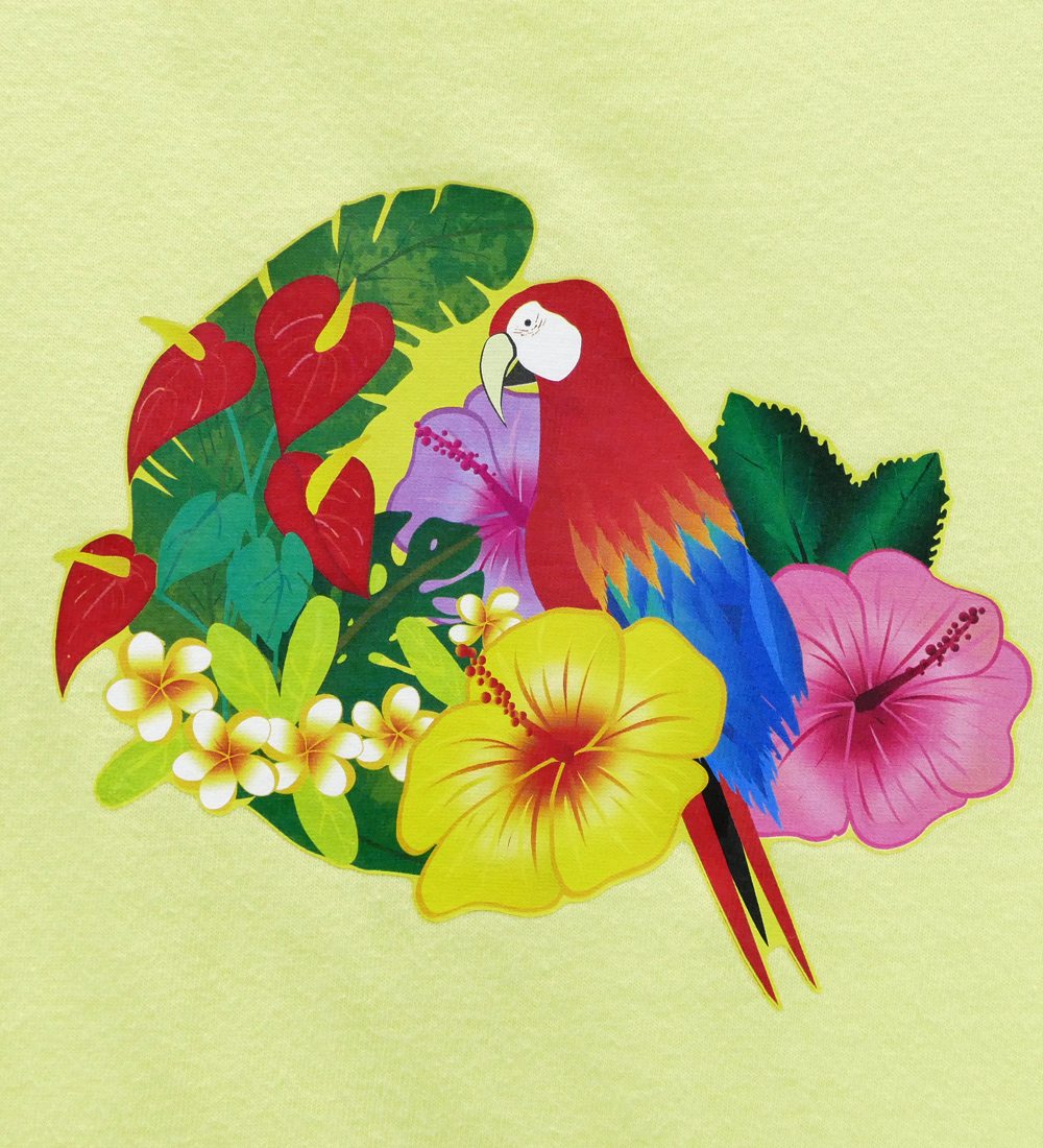 フラダンス衣装