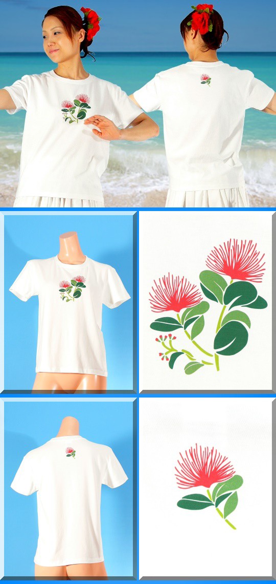 フラダンス衣装