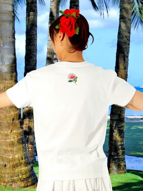 フラダンス衣装