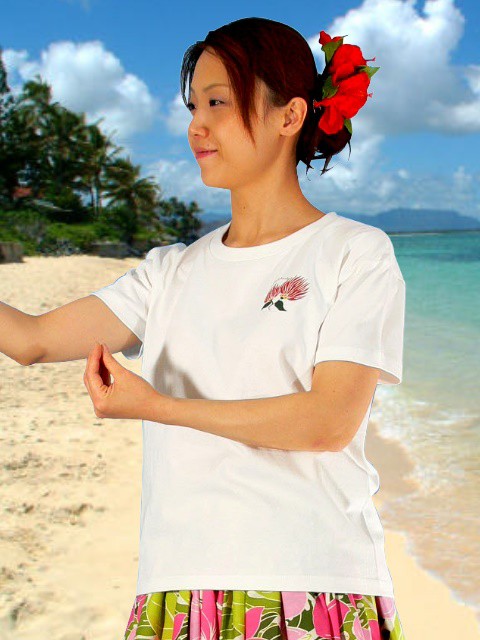 フラダンス衣装