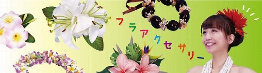 【日本製 フラダンス衣装】ホワイト Emika エミカ 上下セット ツーピース セットアップ 白 プルメリア柄 花柄 爽やか かわいい 日本製 フラダンス衣装】ホワイト Emika エミカ 上下セット