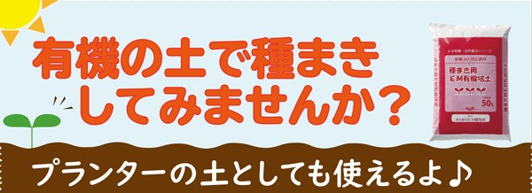 EM情報室 - Yahoo!ショッピング