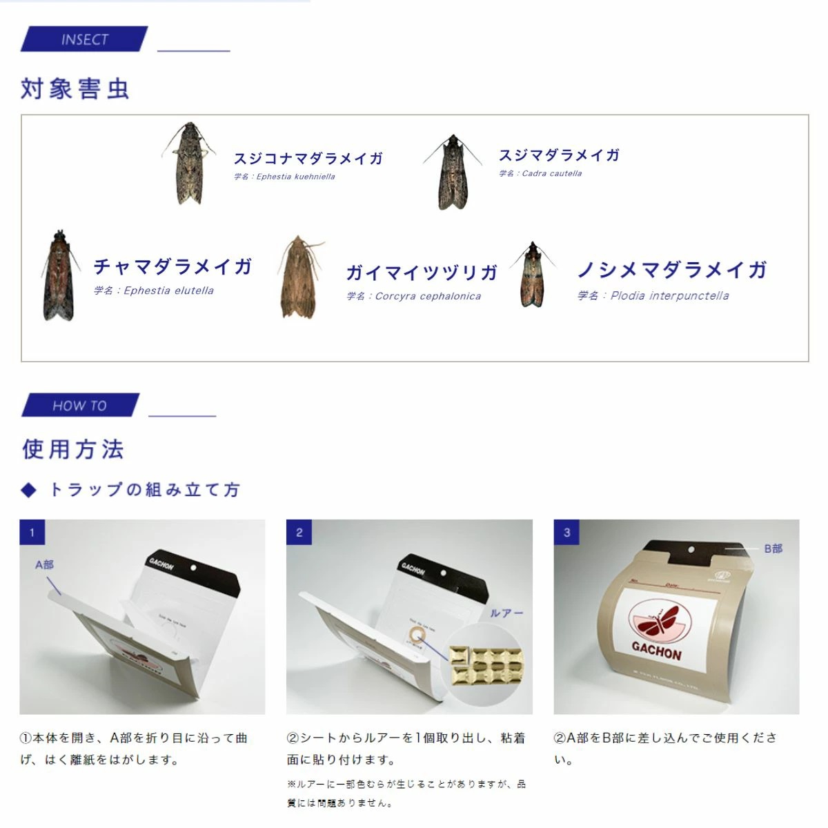 害虫駆除02