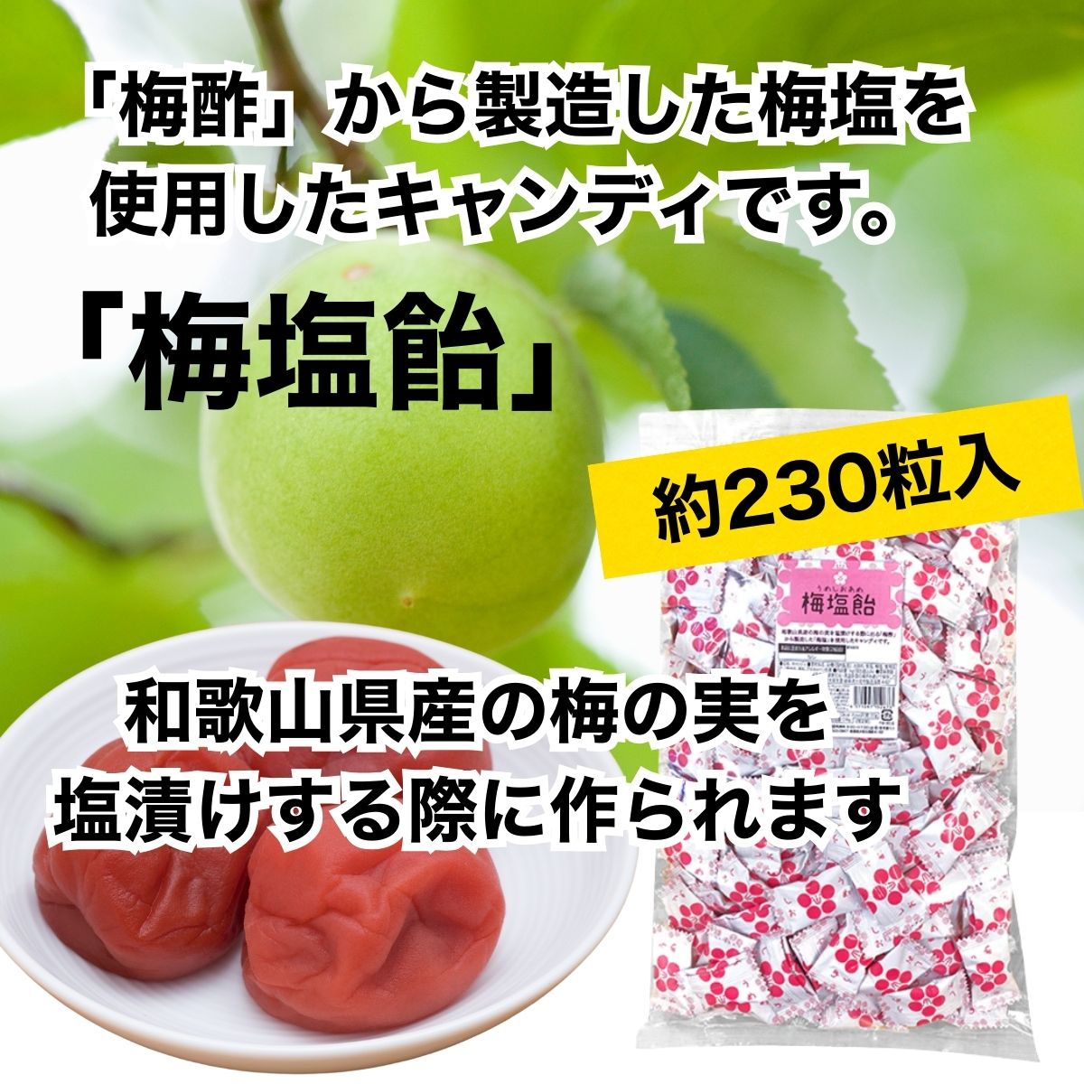 しお飴02