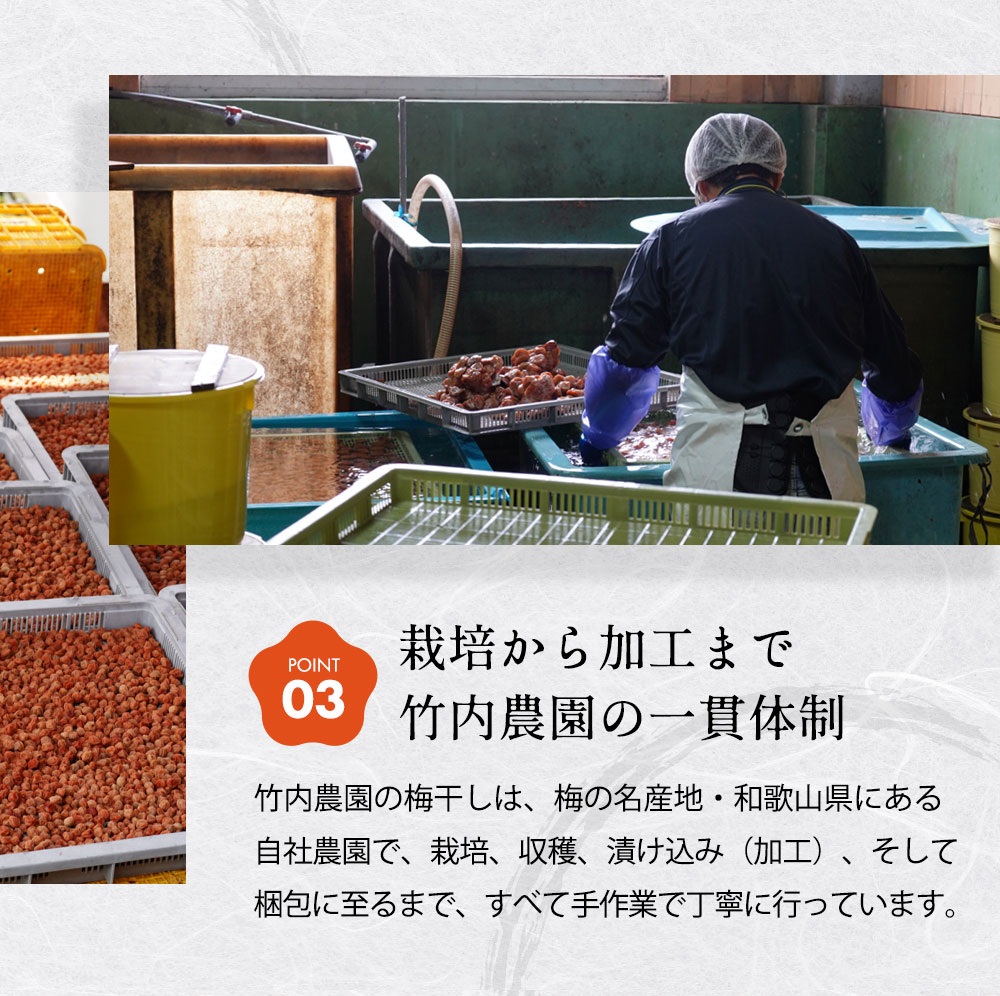 しそ梅干し06