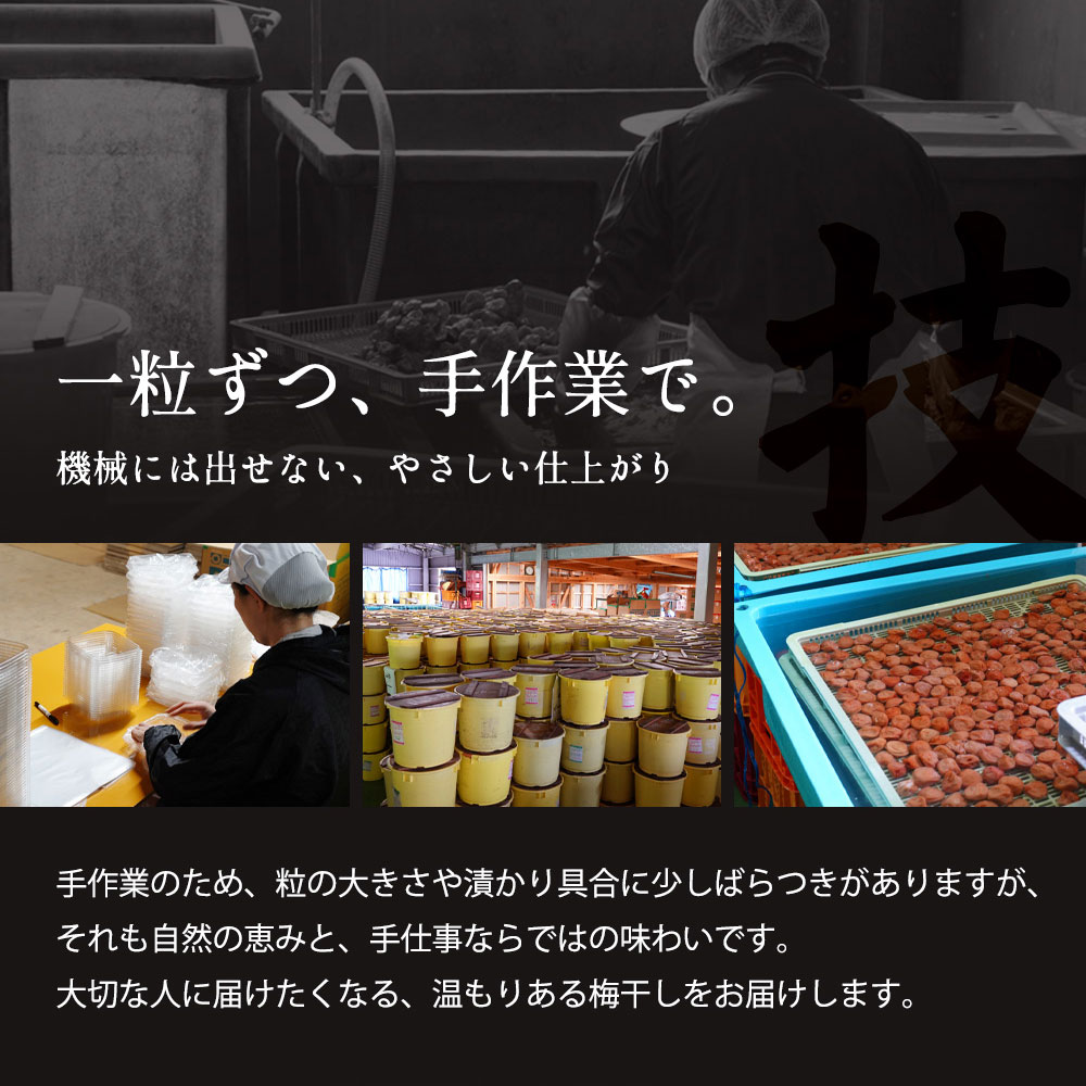 しそ梅干し07