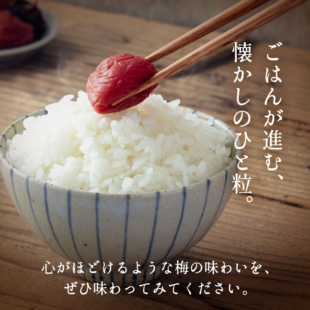 しそ梅干し10
