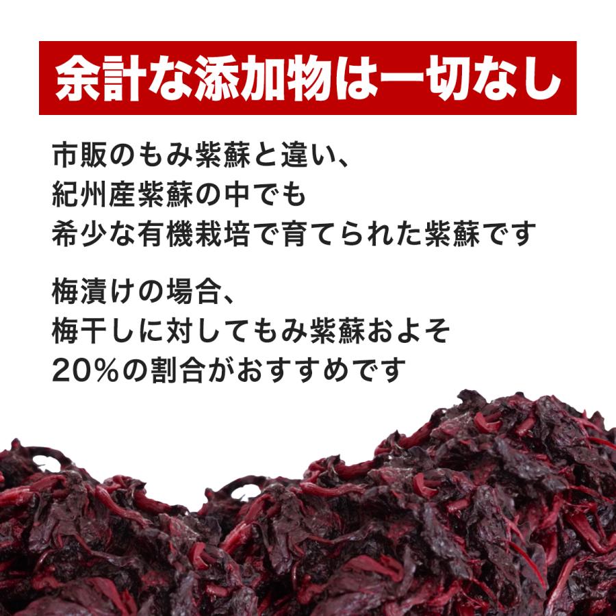 しそ02