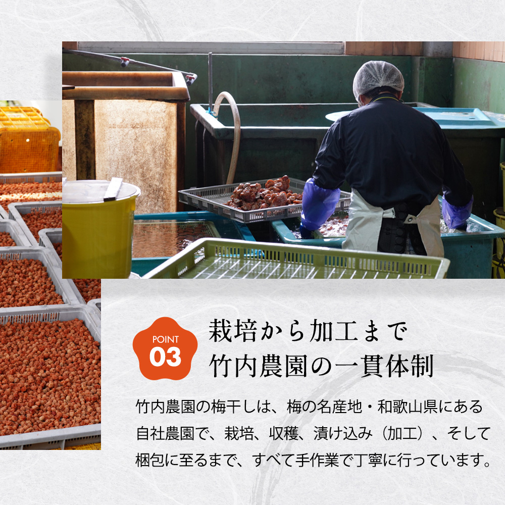 梅干し06