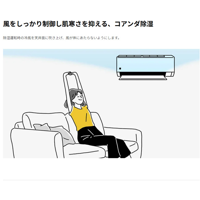 SHARP（シャープ） エアコン 6畳用 2.2kW DGシリーズ 2025年モデル AY