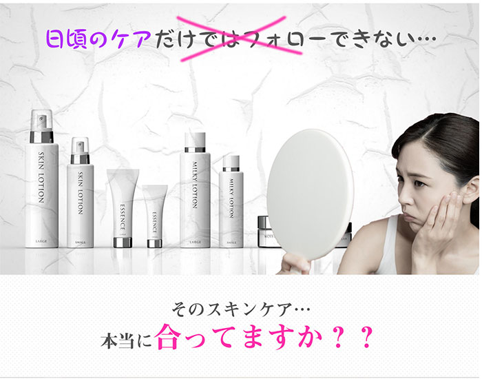 Canet 温熱美顔器 V℃R ヴィドシーアール EMS付 CS-2000R キャネット