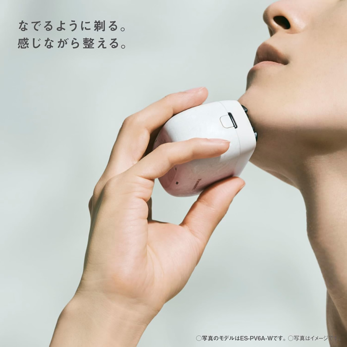 ラムダッシュ パナソニック リニアシェーバー パームイン 5枚刃 ES