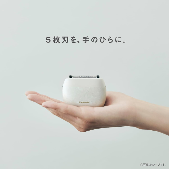 ラムダッシュ パナソニック リニアシェーバー パームイン 5枚刃 ラムダッシュ パナソニック リニアシェーバー パームイン 5枚刃