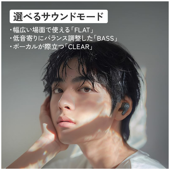 Victor(オーディオ) ビクター ノイキャン搭載 ワイヤレス