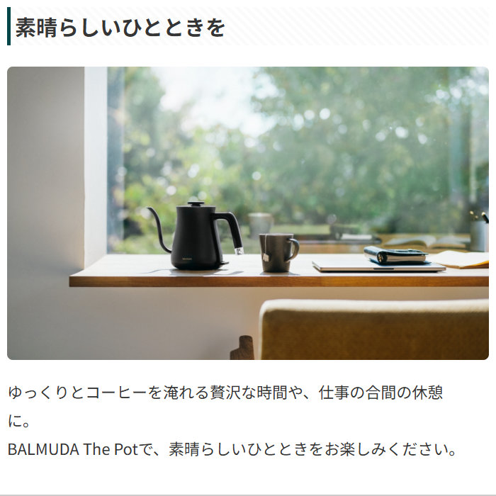 BALMUDA（バルミューダ） 電気ケトル 550ml BALMUDA The Pot ザ