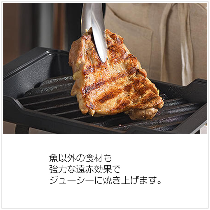 大人の鉄板 オークス 魚焼き器 炭グリル OTS8010 : 家電と雑貨のemon
