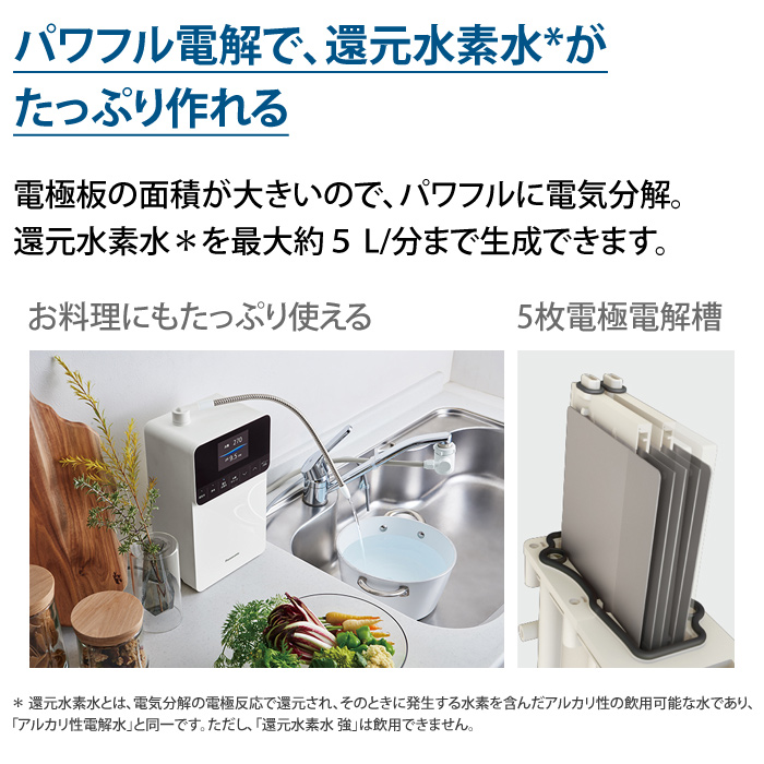 Panasonic（パナソニック） 還元水素水生成器 19物質除去 7つの水 電極
