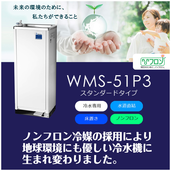 wms-51p3_1.jpg