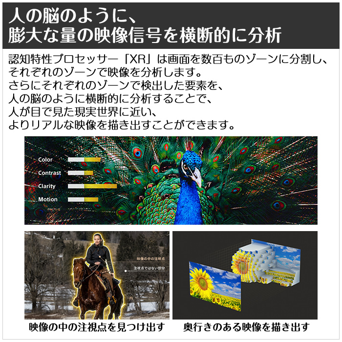 BRAVIA ソニー 55V型 4K液晶テレビ ブラビア X90Lシリーズ XRJ