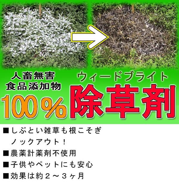 除草剤 地面に撒くだけ