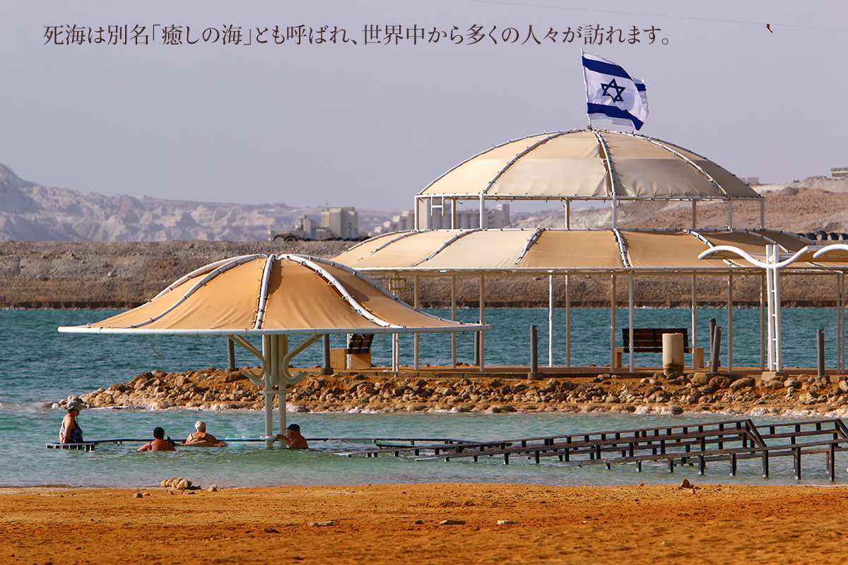 公式ストア 死海の塩 塩化マグネシウム バスソ...の詳細画像3