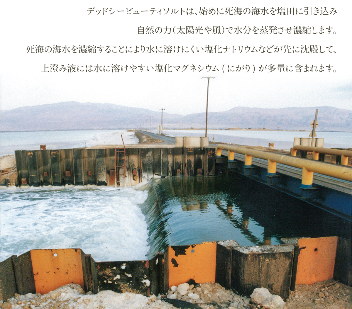 公式ストア 死海の塩 塩化マグネシウム バスソ...の詳細画像5