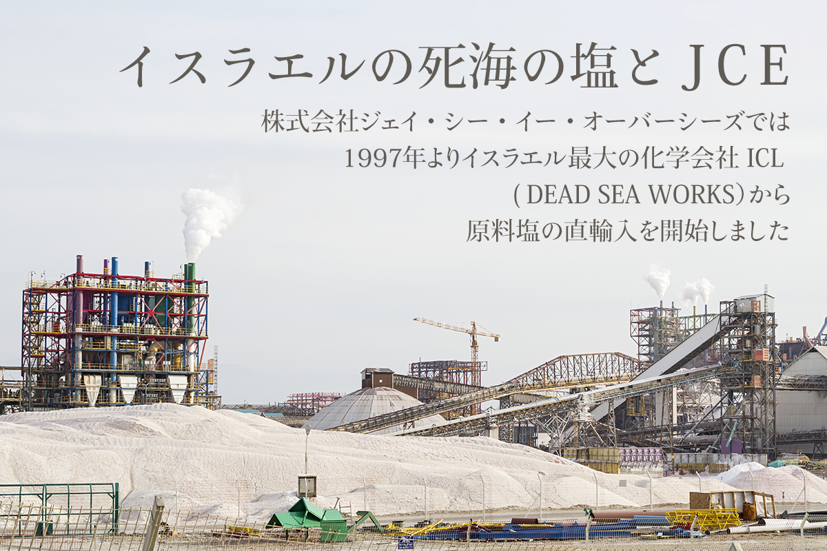 死海の塩 スクラブ「エムナー デッドシー ミネラルソルト マッサージ ソルト スターターセット 」 かかと ひざ フットケア 角質ケア | EMUNA | 10