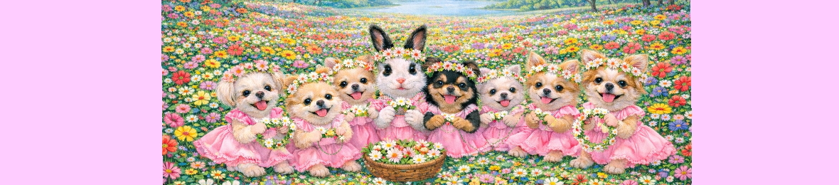 公式 EMYLAND エミーランド ヘッダー画像