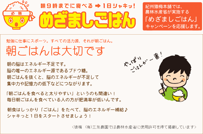 めざましごはんキャンペーン 猿梅 Yahoo 店 通販 Yahoo ショッピング