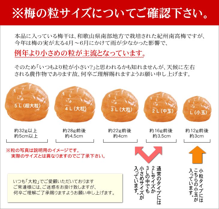 梅干し 梅干 猿梅のペット容器入り梅干し（380g）はちみつ梅のように 