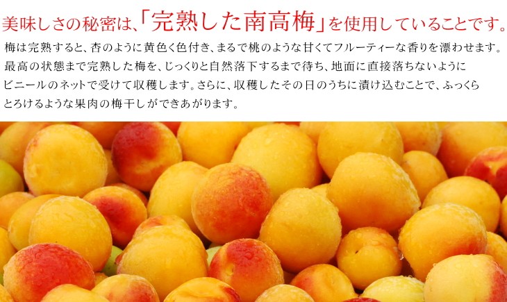 [梅干し]猿梅かつお梅100g　（味見用）梅干しの最高品種・和歌山県産紀州南高梅