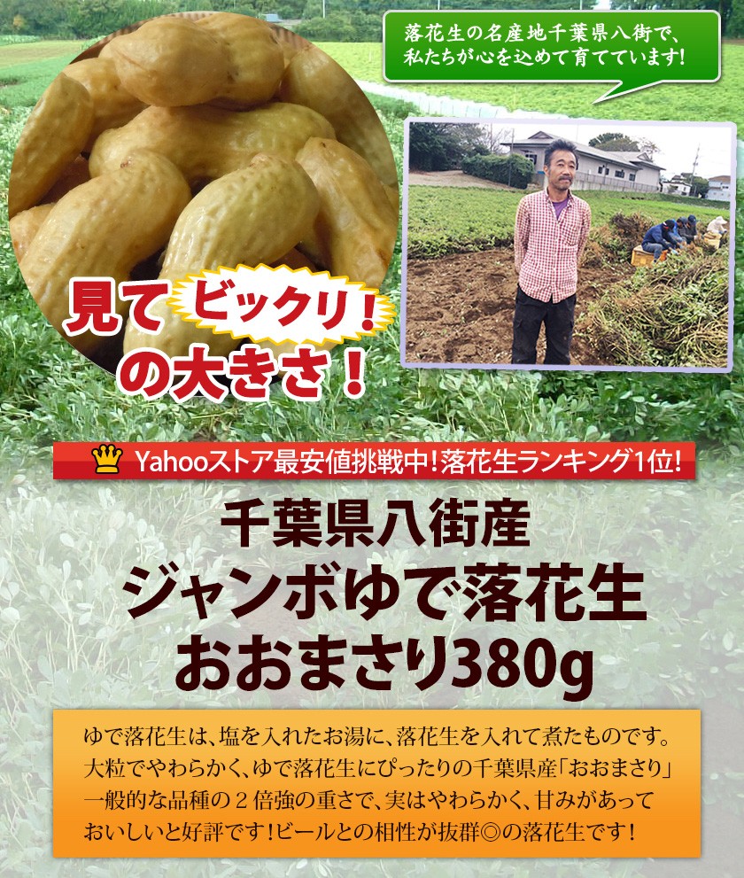 2022年度産 新豆 千葉県八街産落花生 手もぎジャンボゆで落花生おおまさり380g クール冷凍便発送 :oomasari400:遠藤ピーナツ -  通販 - Yahoo!ショッピング