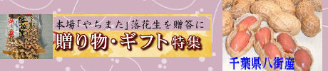 ギフトに本場やちまた産落花生