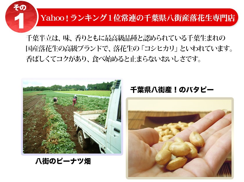八街産落花生の柿ピーナッツ